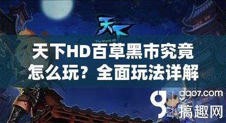 天下HD百草黑市究竟怎么玩？全面玩法详解带你揭秘其中奥秘