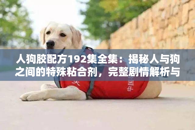 人狗胶配方192集全集：揭秘人与狗之间的特殊粘合剂，完整剧情解析与实用技巧分享