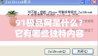 91极品网是什么？它有哪些独特内容和特点？一起来深入了解一下吧