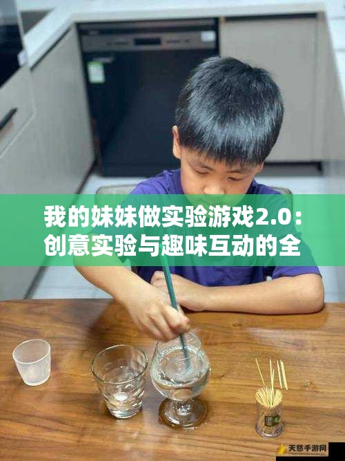 我的妹妹做实验游戏2.0：创意实验与趣味互动的全新体验，探索科学乐趣