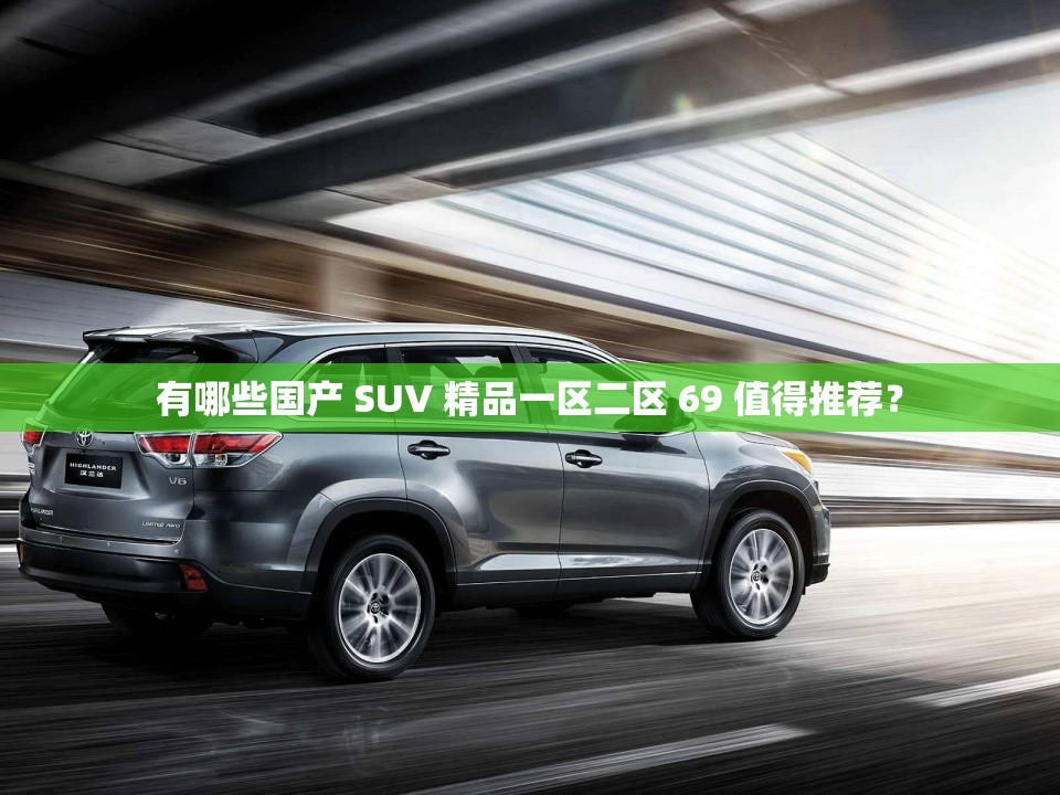 有哪些国产 SUV 精品一区二区 69 值得推荐？