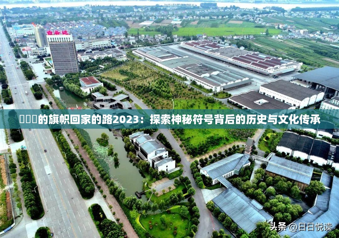 逹葢薾的旗帜回家的路2023：探索神秘符号背后的历史与文化传承