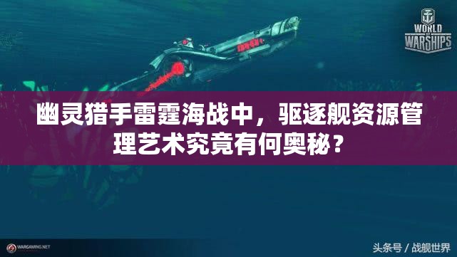 幽灵猎手雷霆海战中，驱逐舰资源管理艺术究竟有何奥秘？