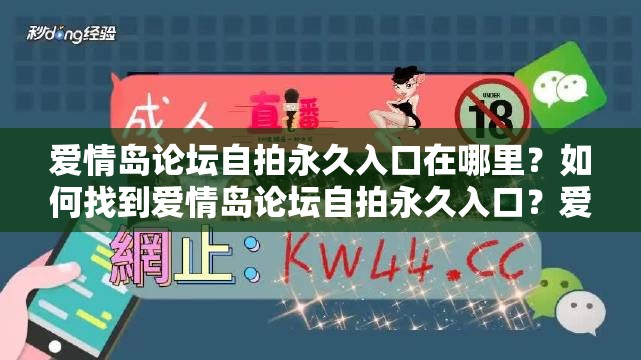 爱情岛论坛自拍永久入口在哪里？如何找到爱情岛论坛自拍永久入口？爱情岛论坛自拍永久入口是多少？