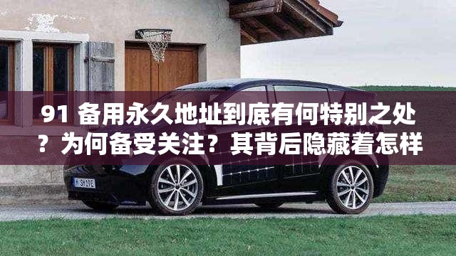 91 备用永久地址到底有何特别之处？为何备受关注？其背后隐藏着怎样的秘密？