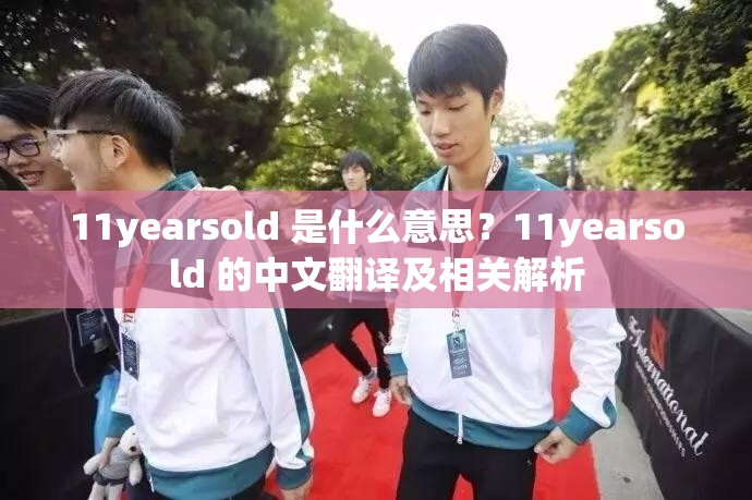 11yearsold 是什么意思？11yearsold 的中文翻译及相关解析