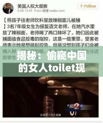 揭秘：偷窥中国的女人toilet现象背后的社会心理与法律探讨