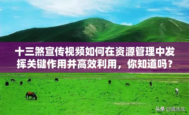 十三煞宣传视频如何在资源管理中发挥关键作用并高效利用，你知道吗？