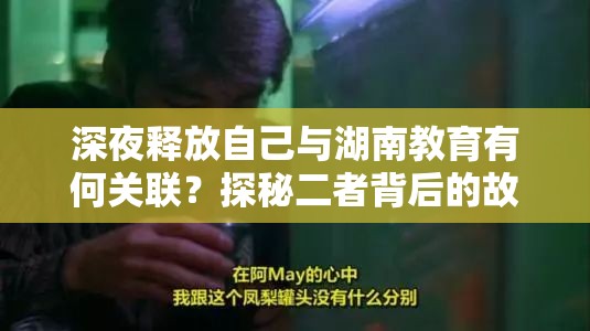 深夜释放自己与湖南教育有何关联？探秘二者背后的故事与意义