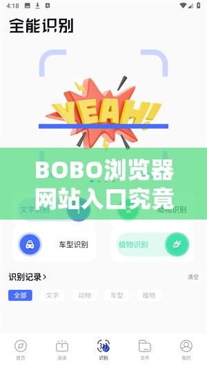 BOBO浏览器网站入口究竟在哪里？探寻BOBO浏览器网站入口的关键所在