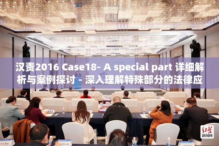 汉责2016 Case18- A special part 详细解析与案例探讨 - 深入理解特殊部分的法律应用