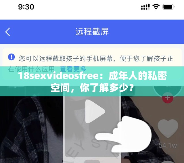 18sexvideosfree：成年人的私密空间，你了解多少？