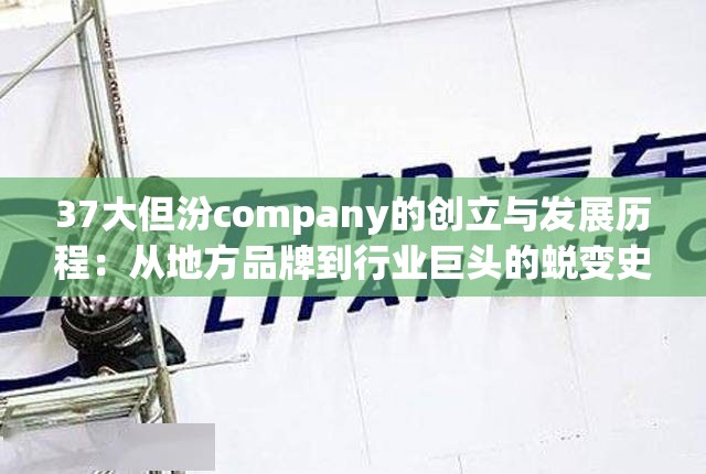 37大但汾company的创立与发展历程：从地方品牌到行业巨头的蜕变史