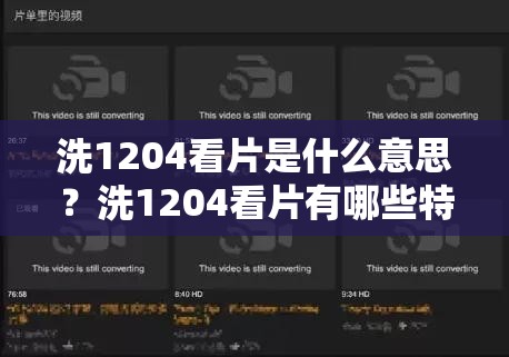 洗1204看片是什么意思？洗1204看片有哪些特别之处和值得关注的点？