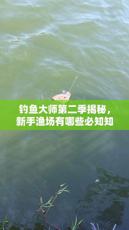 钓鱼大师第二季揭秘，新手渔场有哪些必知知识，你掌握了吗？