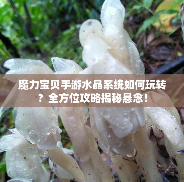 魔力宝贝手游水晶系统如何玩转？全方位攻略揭秘悬念！